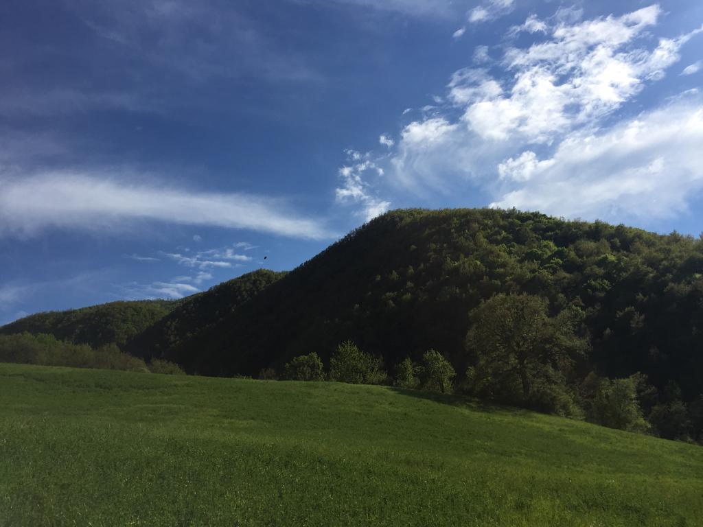 Agriturismo La Ferraia Pianello  エクステリア 写真