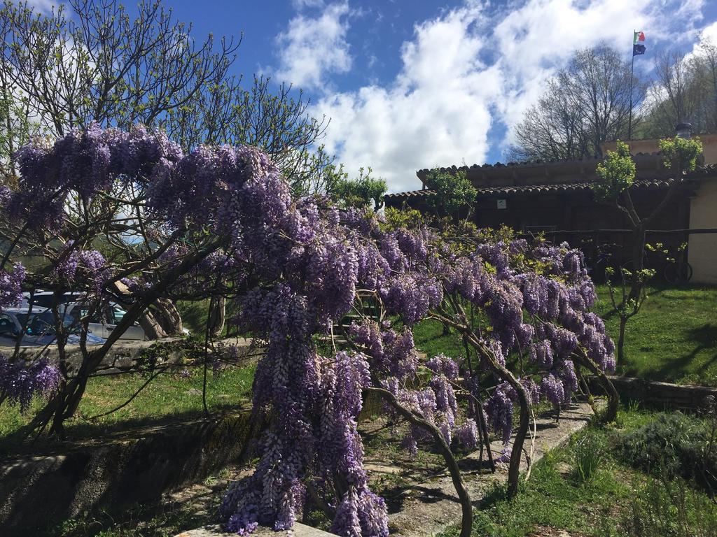 Agriturismo La Ferraia Pianello  エクステリア 写真