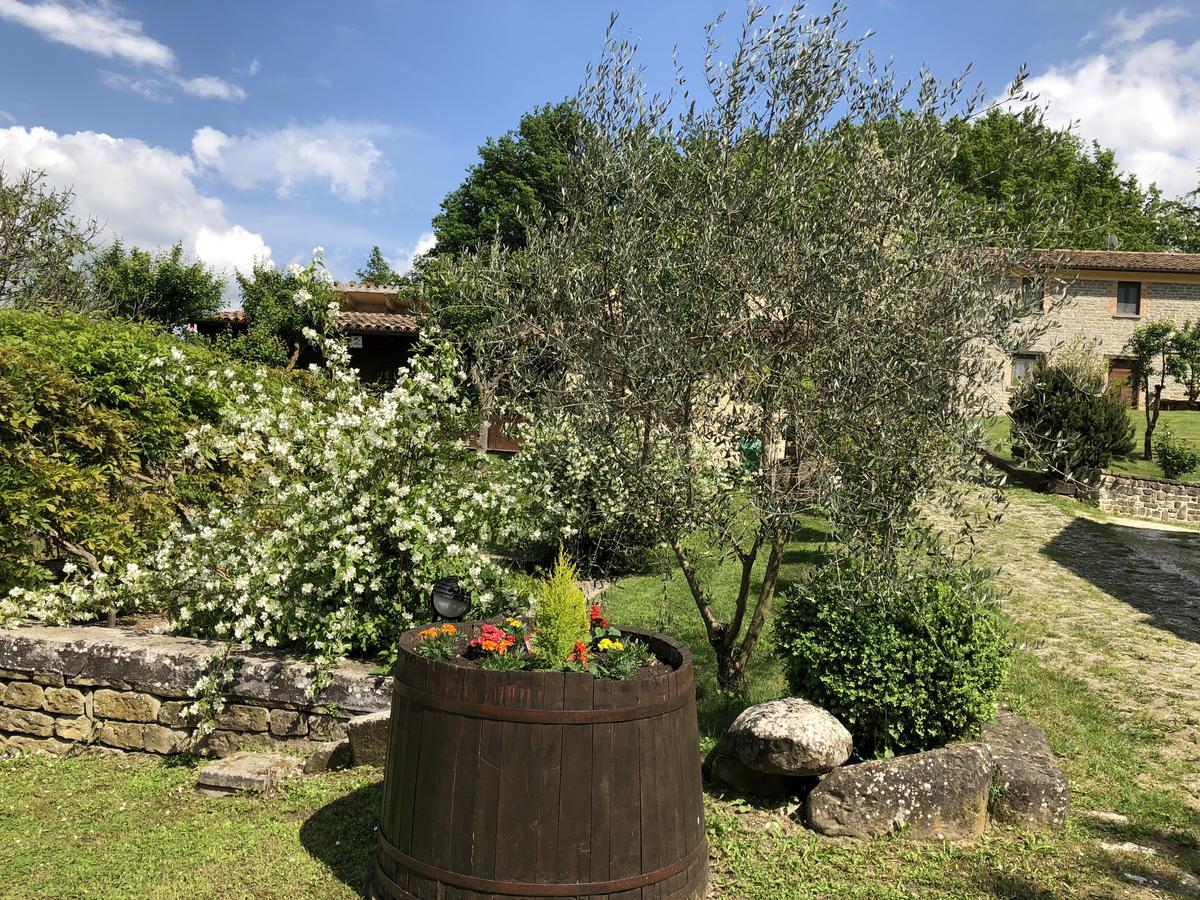 Agriturismo La Ferraia Pianello  エクステリア 写真