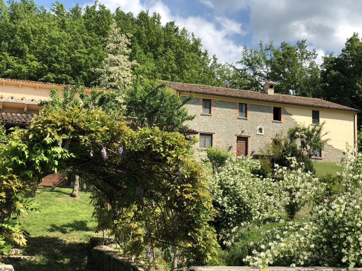 Agriturismo La Ferraia Pianello  エクステリア 写真