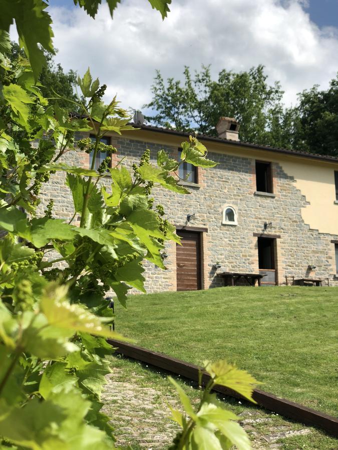 Agriturismo La Ferraia Pianello  エクステリア 写真