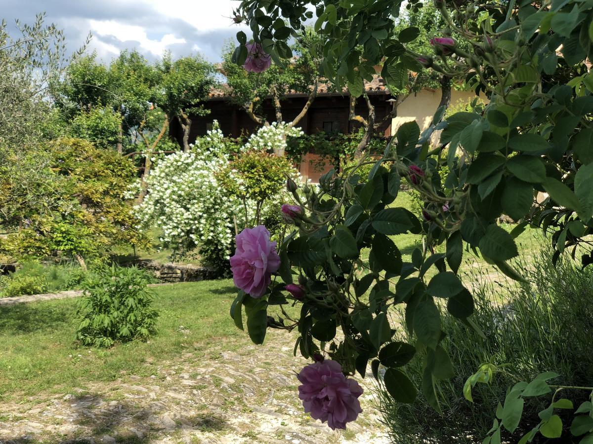 Agriturismo La Ferraia Pianello  エクステリア 写真